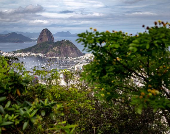 Clínica de alergia no Rio de Janeiro