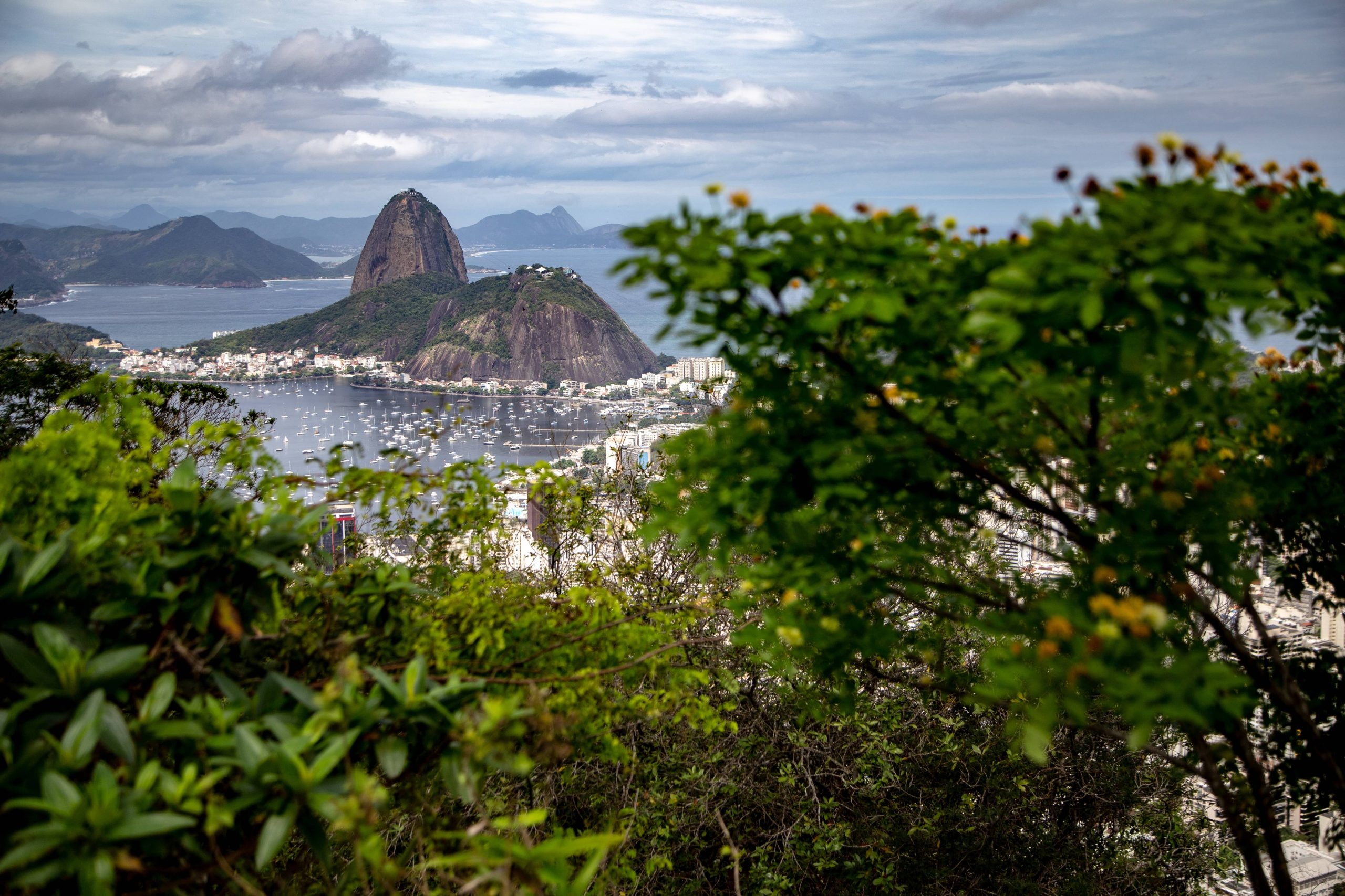 Clínica de alergia no Rio de Janeiro