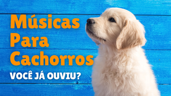 Músicas Para Cachorros